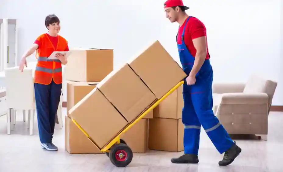 Container mieten